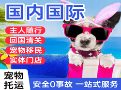济宁大安航空物流国际宠物托运 【国